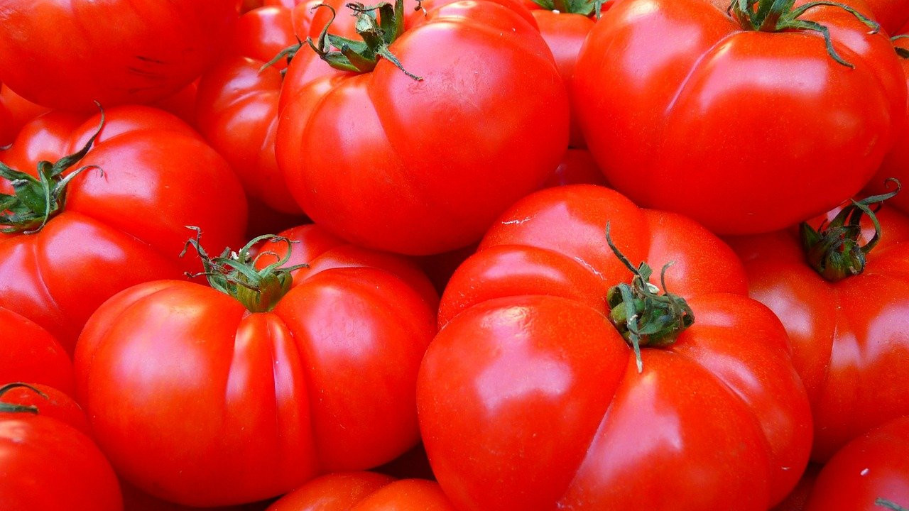 Polskie pomidory